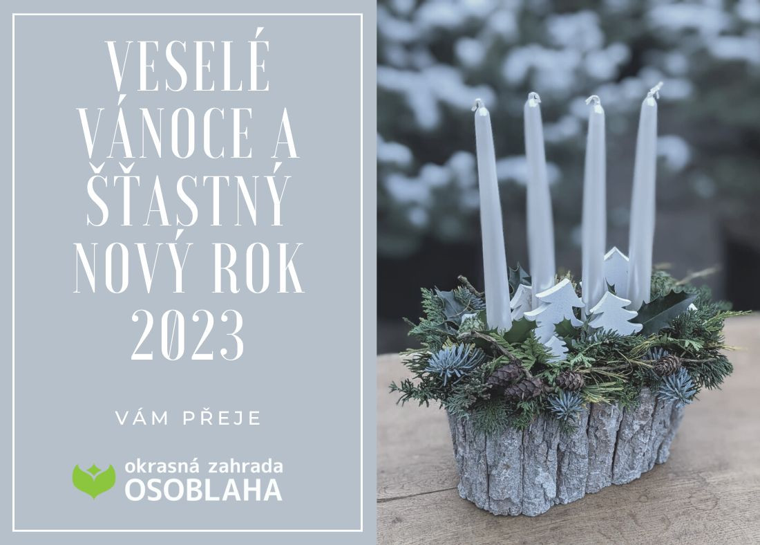 PF2023