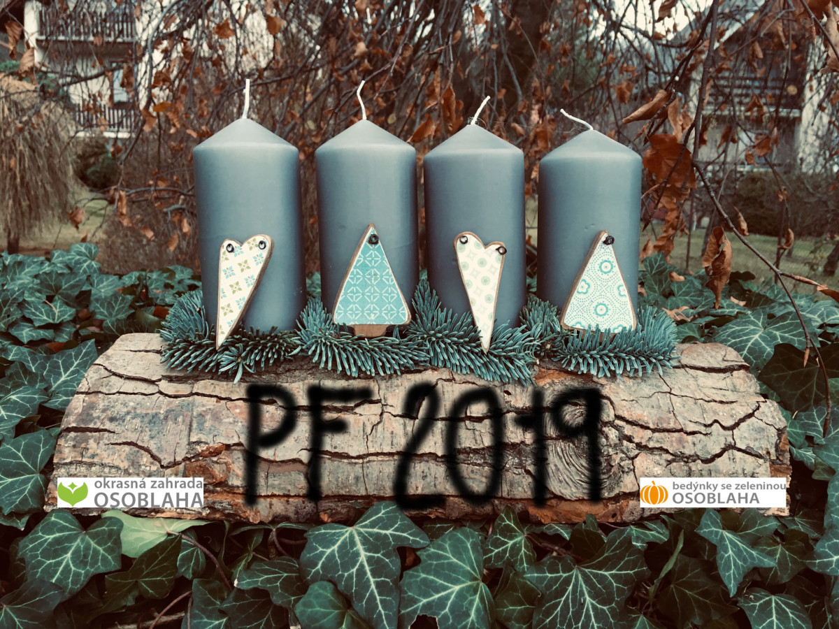 PF 2019